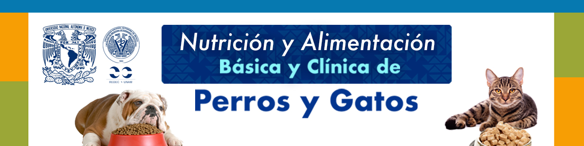 Resumen de Diplomado en línea Nutrición y Alimentación Básica y Clínica de perros y gatos Resumen de Diplomado en línea Nutrición y Alimentación Básica y Clínica de perros y gatos